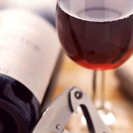 イビス マルヌ ラヴァレ 3* シャン・シュル・マルヌ